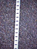 Click for Enlarged Image