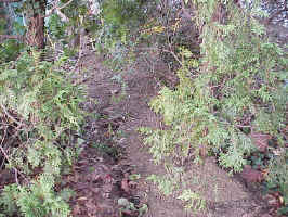 Click for Enlarged Image