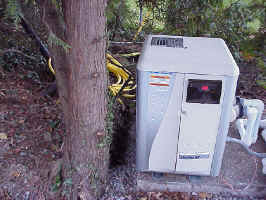 Click for Enlarged Image