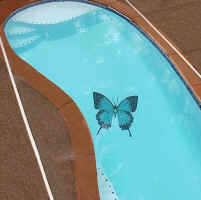 Click for Enlarged Image