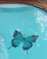 Click for Enlarged Image