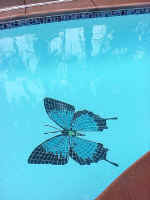 Click for Enlarged Image