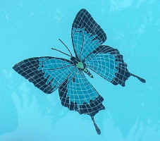 Click for Enlarged Image