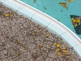 Click for Enlarged Image