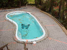 Click for Enlarged Image