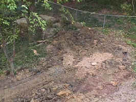 Click for Enlarged Image