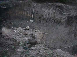 Click for Enlarged Image