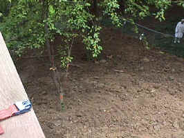 Click for Enlarged Image