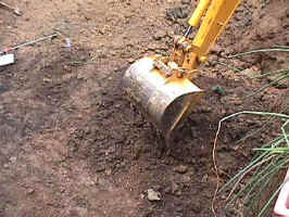 Click for Enlarged Image