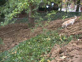 Click for Enlarged Image