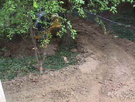 Click for Enlarged Image