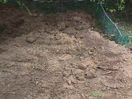 Click for Enlarged Image