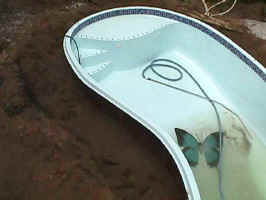 Click to Enlarge Image