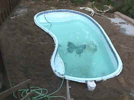 Click to Enlarge Image