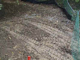 Click to Enlarge Image