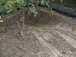 Click to Enlarge Image