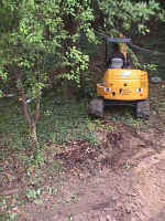 Click for Enlarged Image