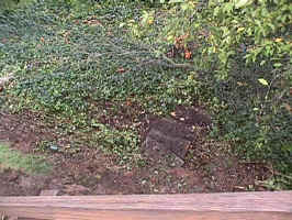 Click for Enlarged Image