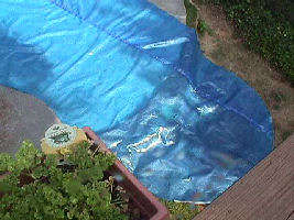 Click for Enlarged Image